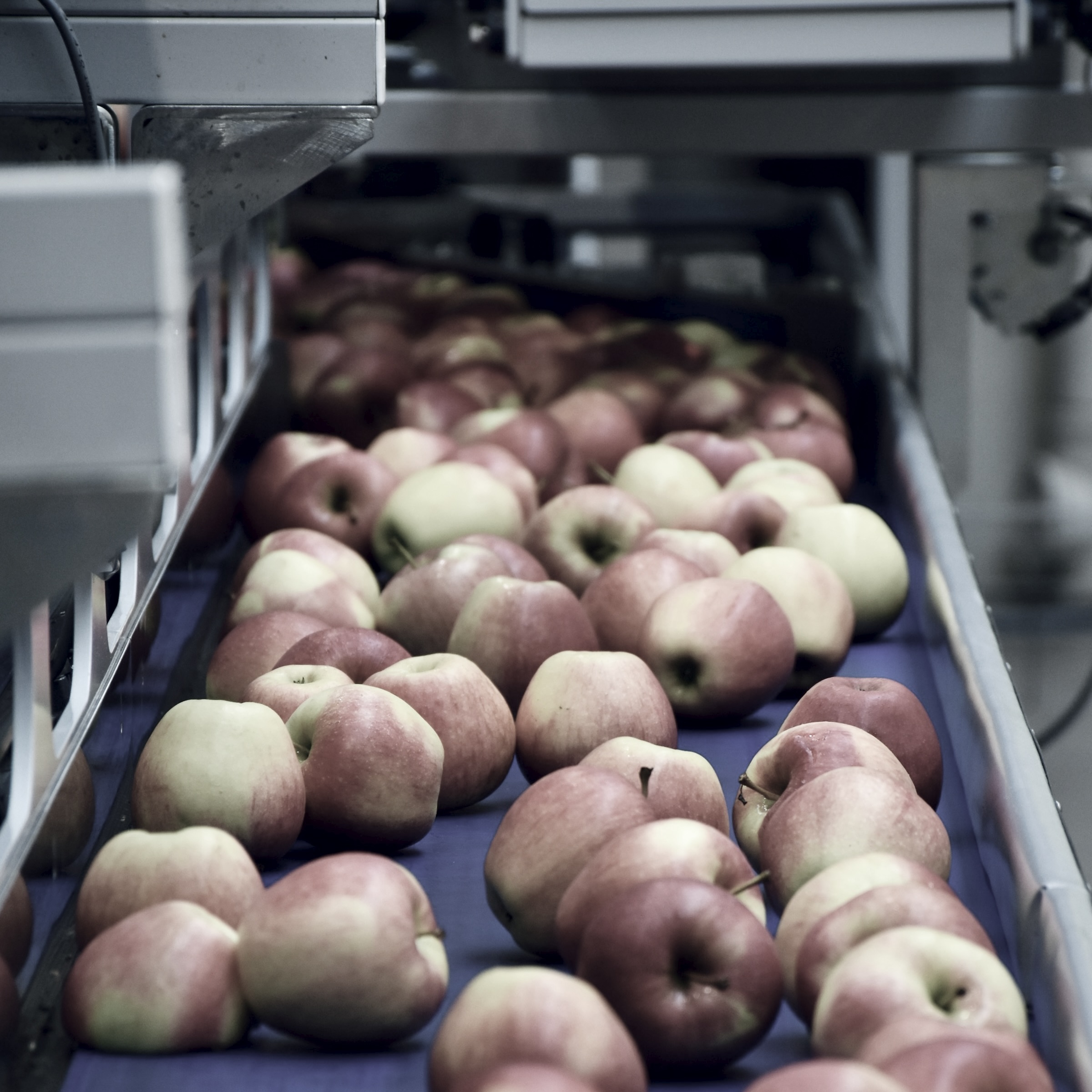 Fresh Food & Produce